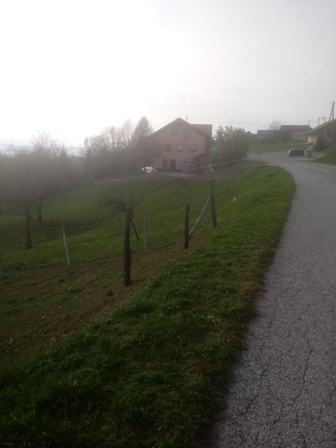 Bed&Breakfast Zilje Vinica Εξωτερικό φωτογραφία